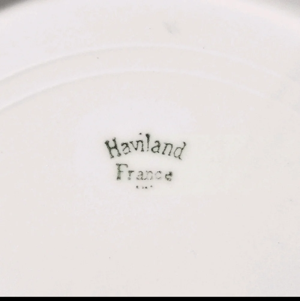 Collectible Limoges Haviland Green Purple Plum Hand Painted Plate, France